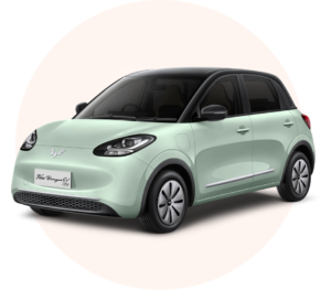 Sewa-mobil-listrik-wulling-binguo-ev